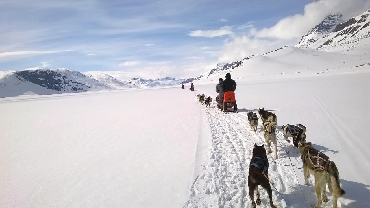 Bygdin Hoyfjellshotell Beitostolen 외부 사진